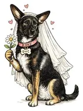 Tail & Veil